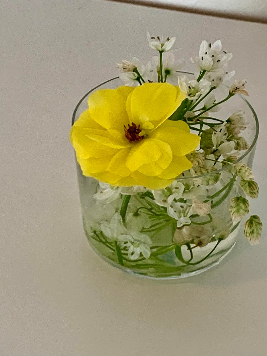 연희동, “뚤리” 사진 13