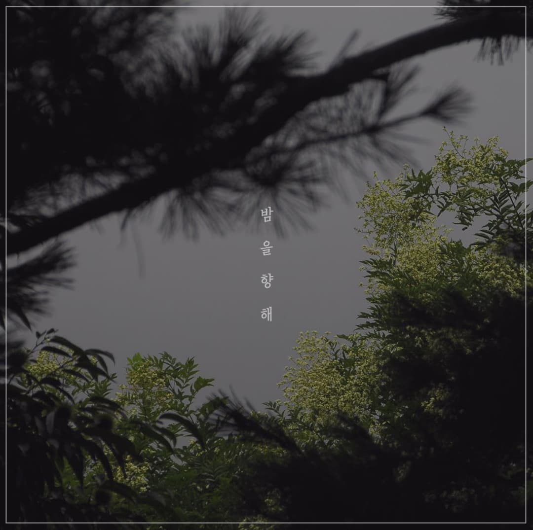 김준희, “밤을 향해” 사진 5