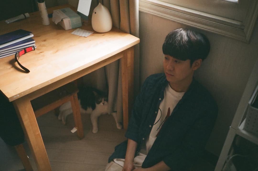 오곤, “나의 고양이를 보러 온 너에게” 사진 4