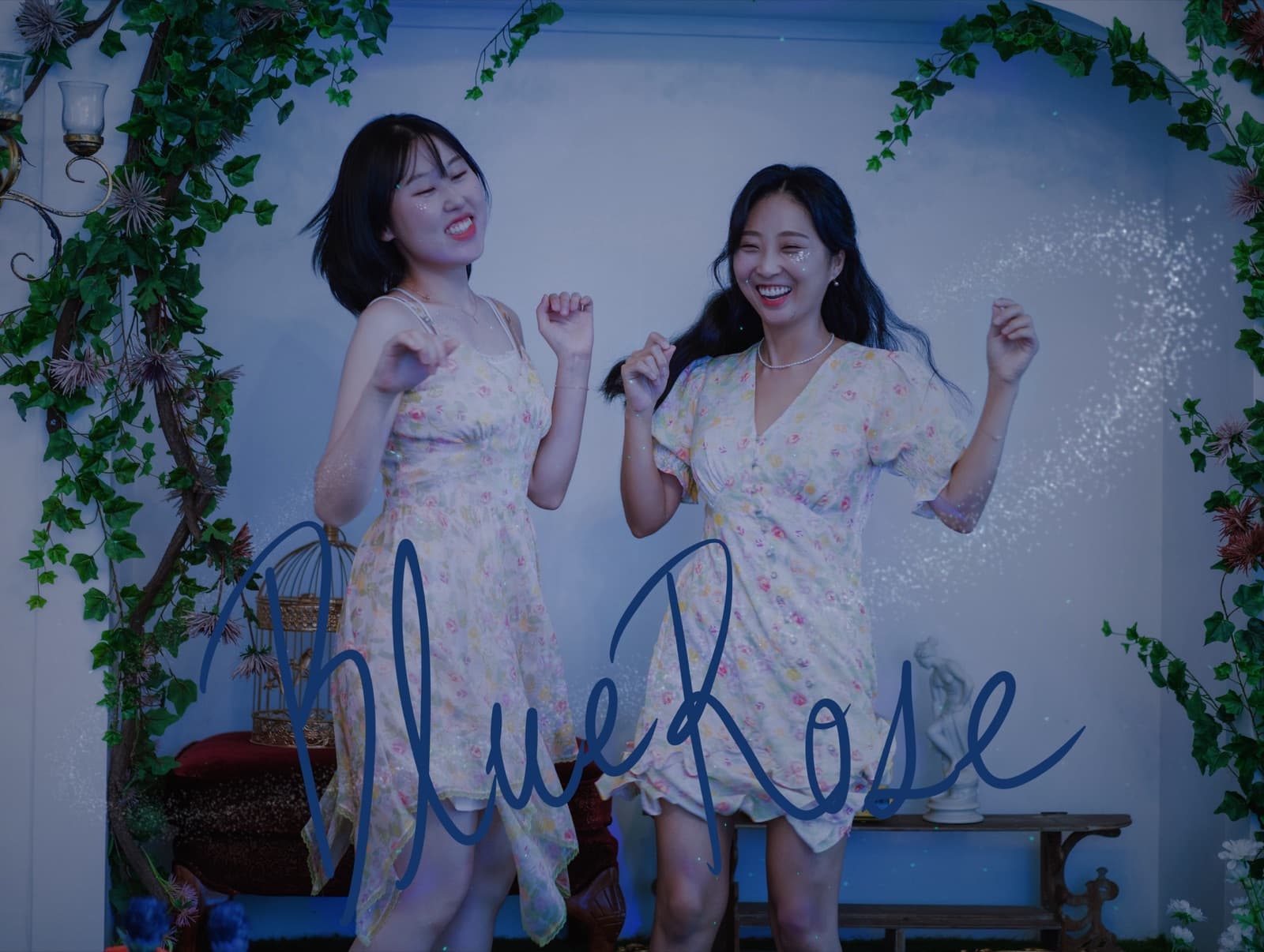 여름스웨터, "Blue Rose“