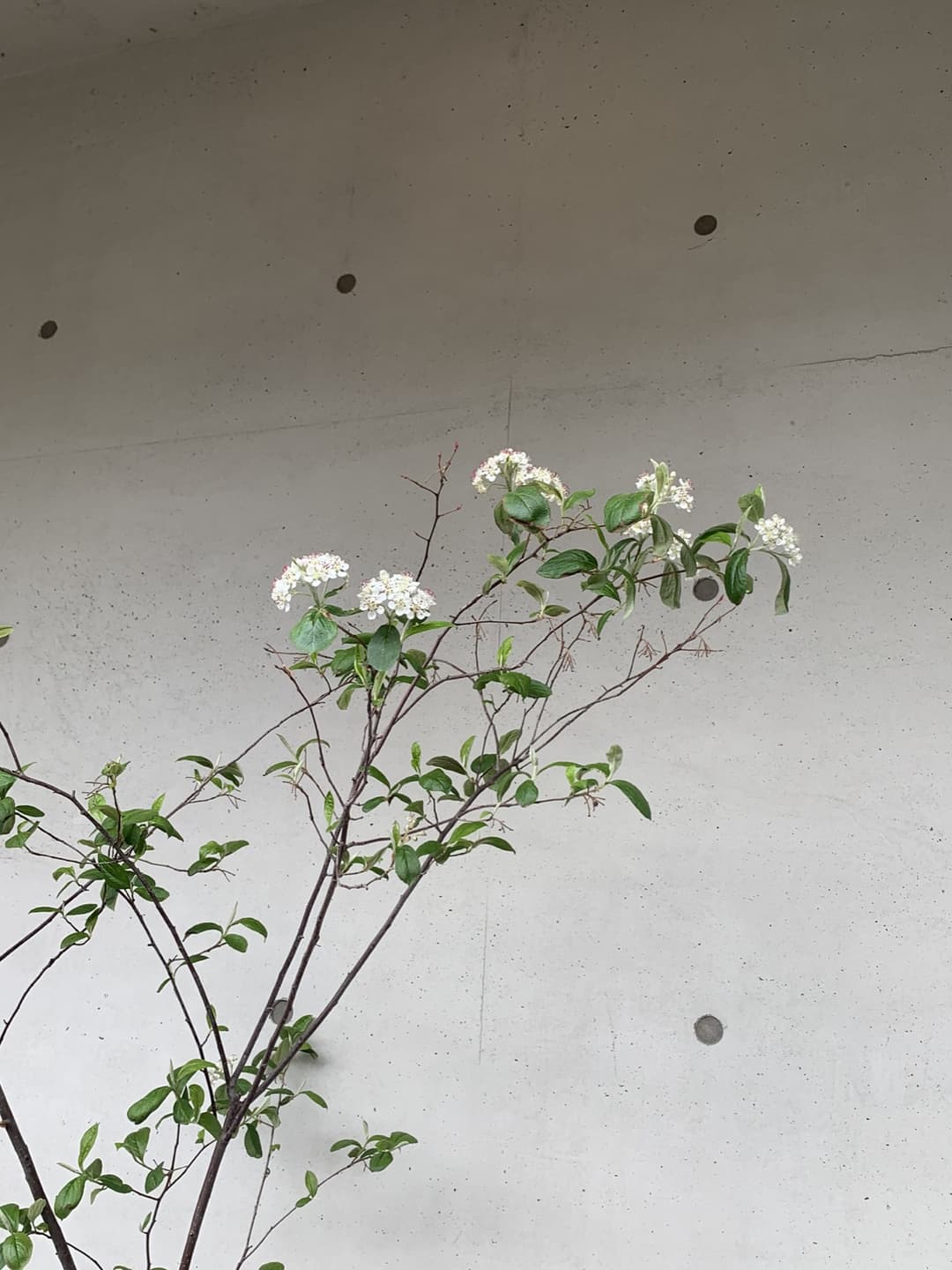평창동, “이엔갤러리” 사진 11