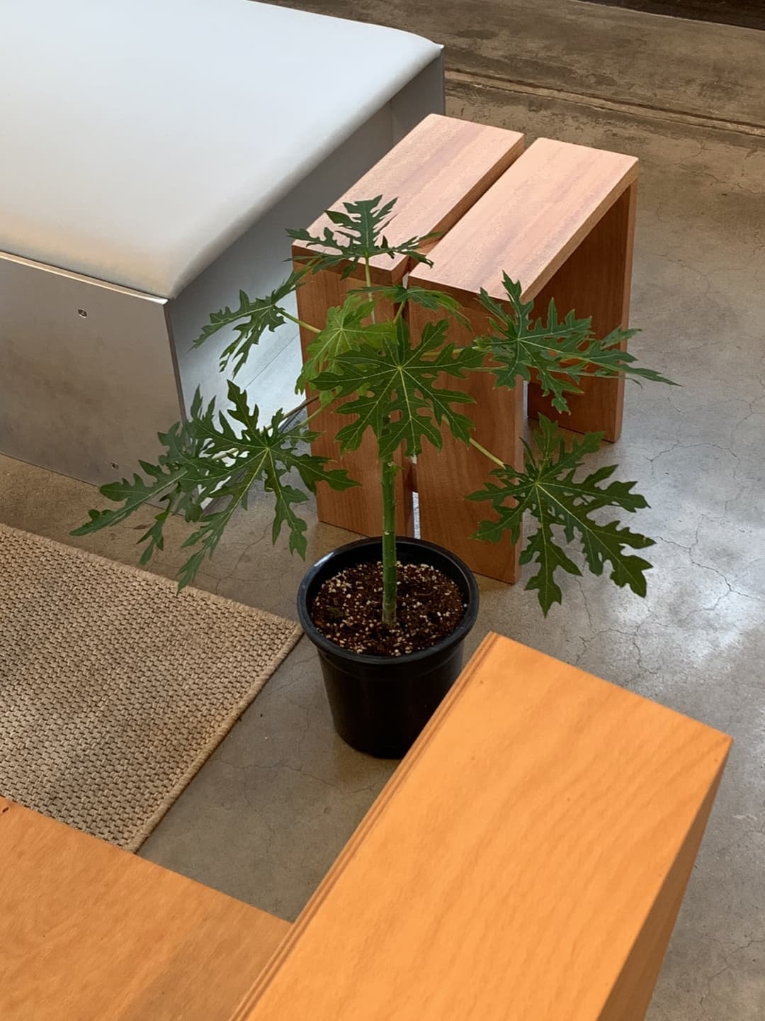 효창동, “mtl 효창” 사진 7