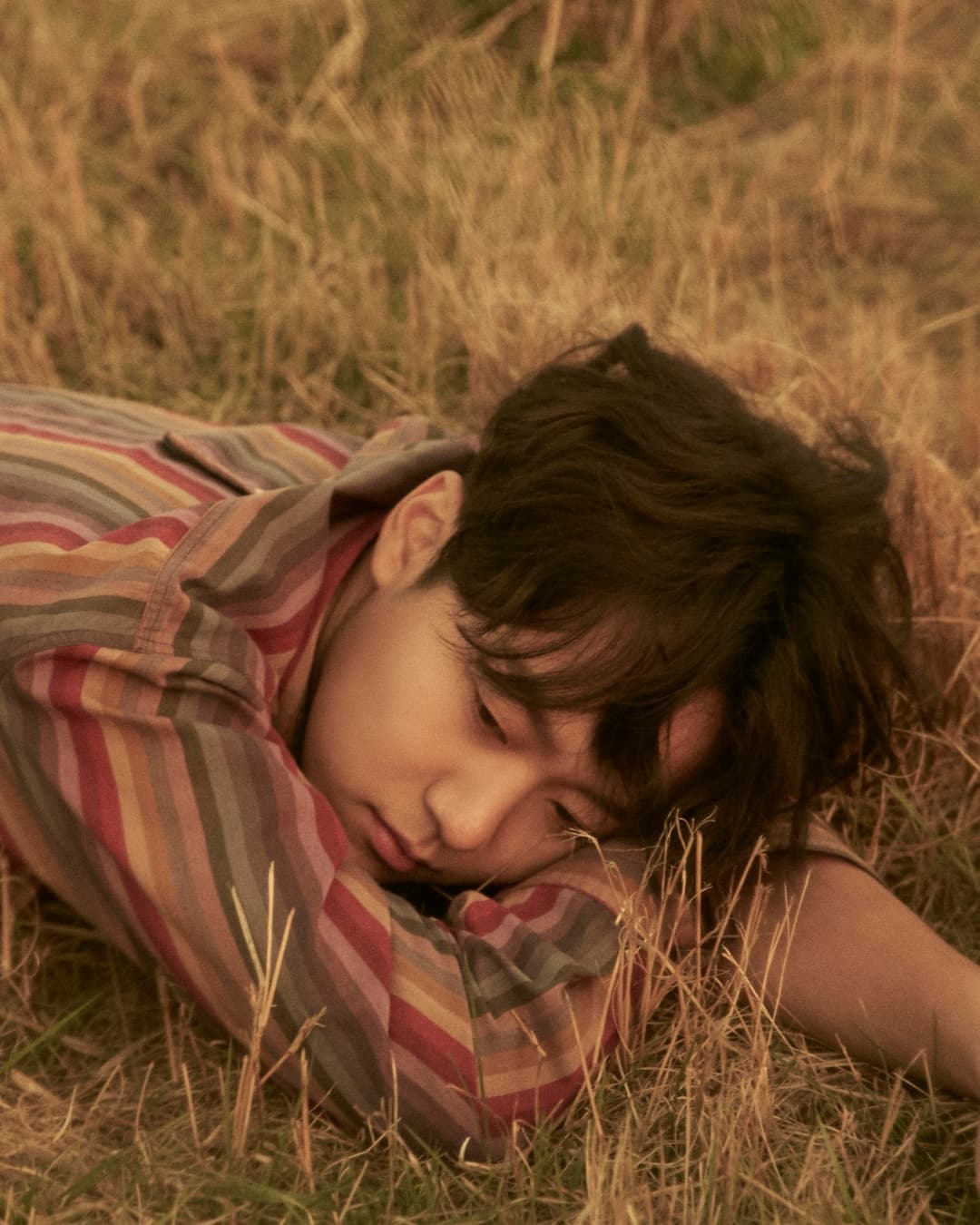 오곤, “나의 고양이를 보러 온 너에게” 사진 2