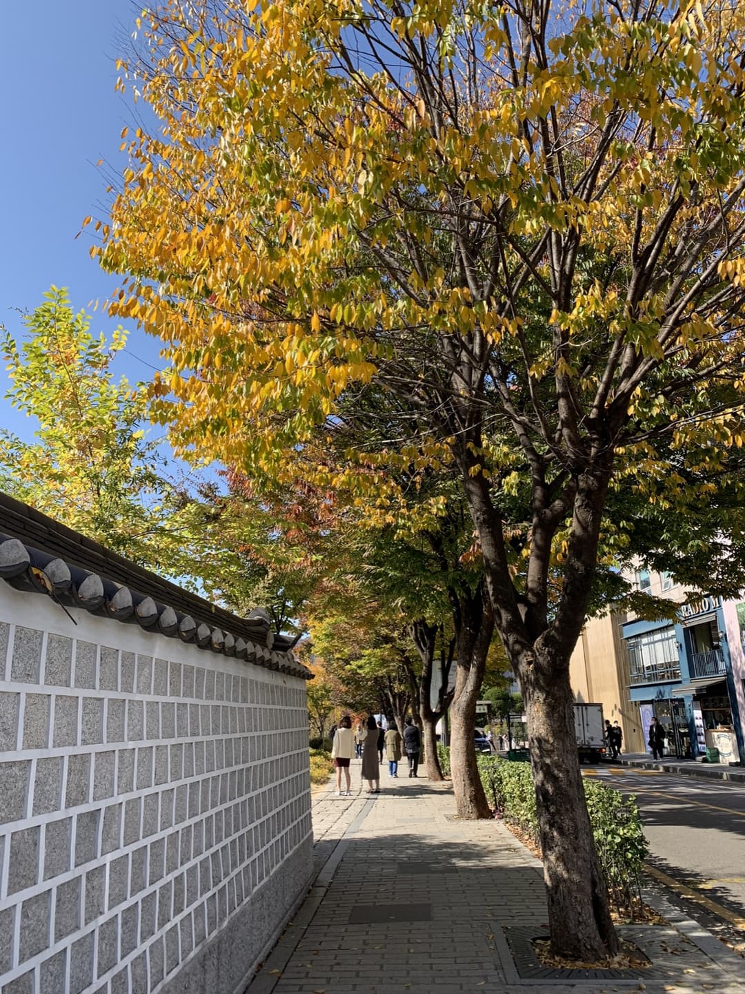 소격동, “테라로사 국립현대미술관 서울점” 사진 1