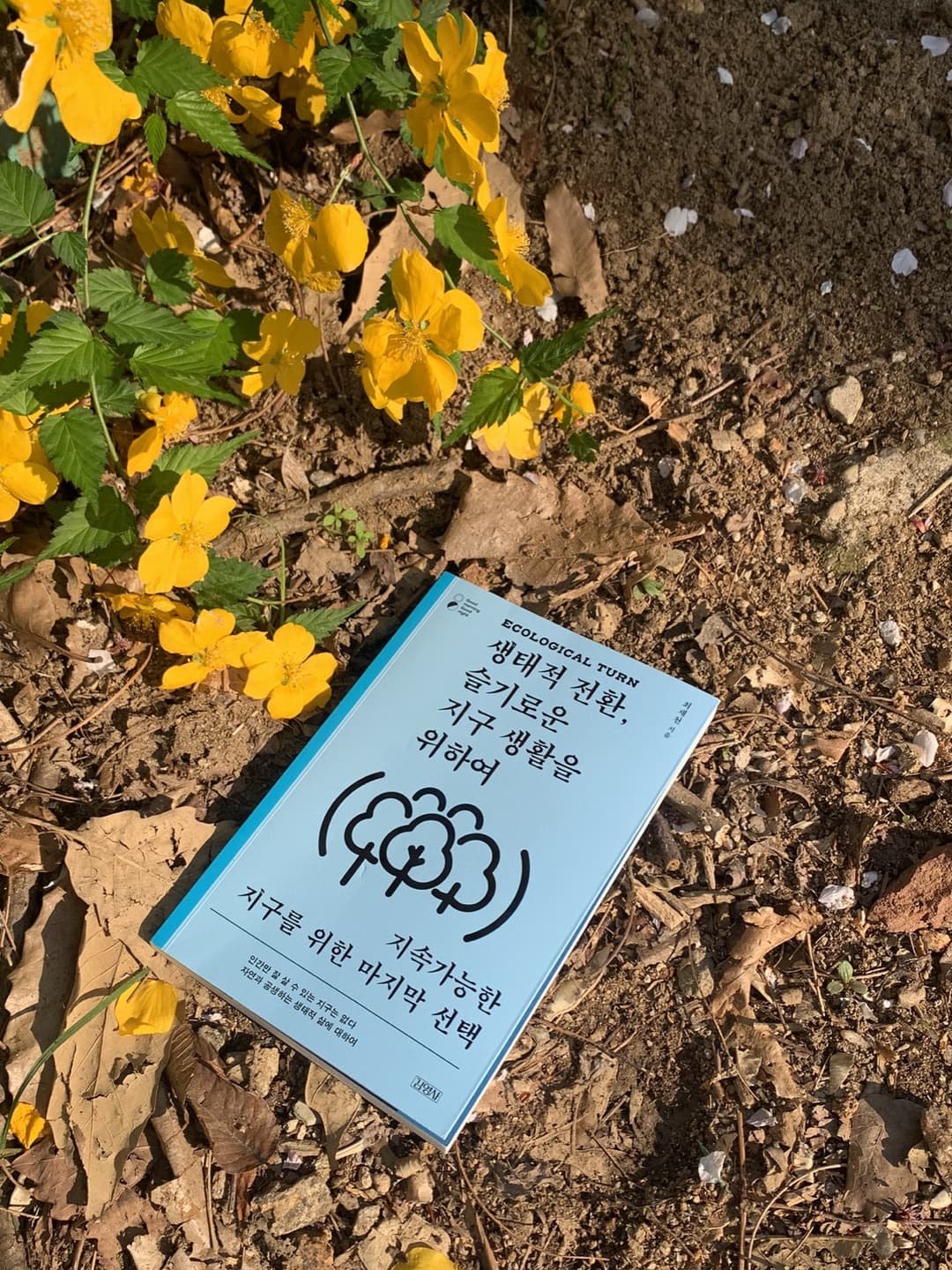이태원, “플랜트” 사진 3