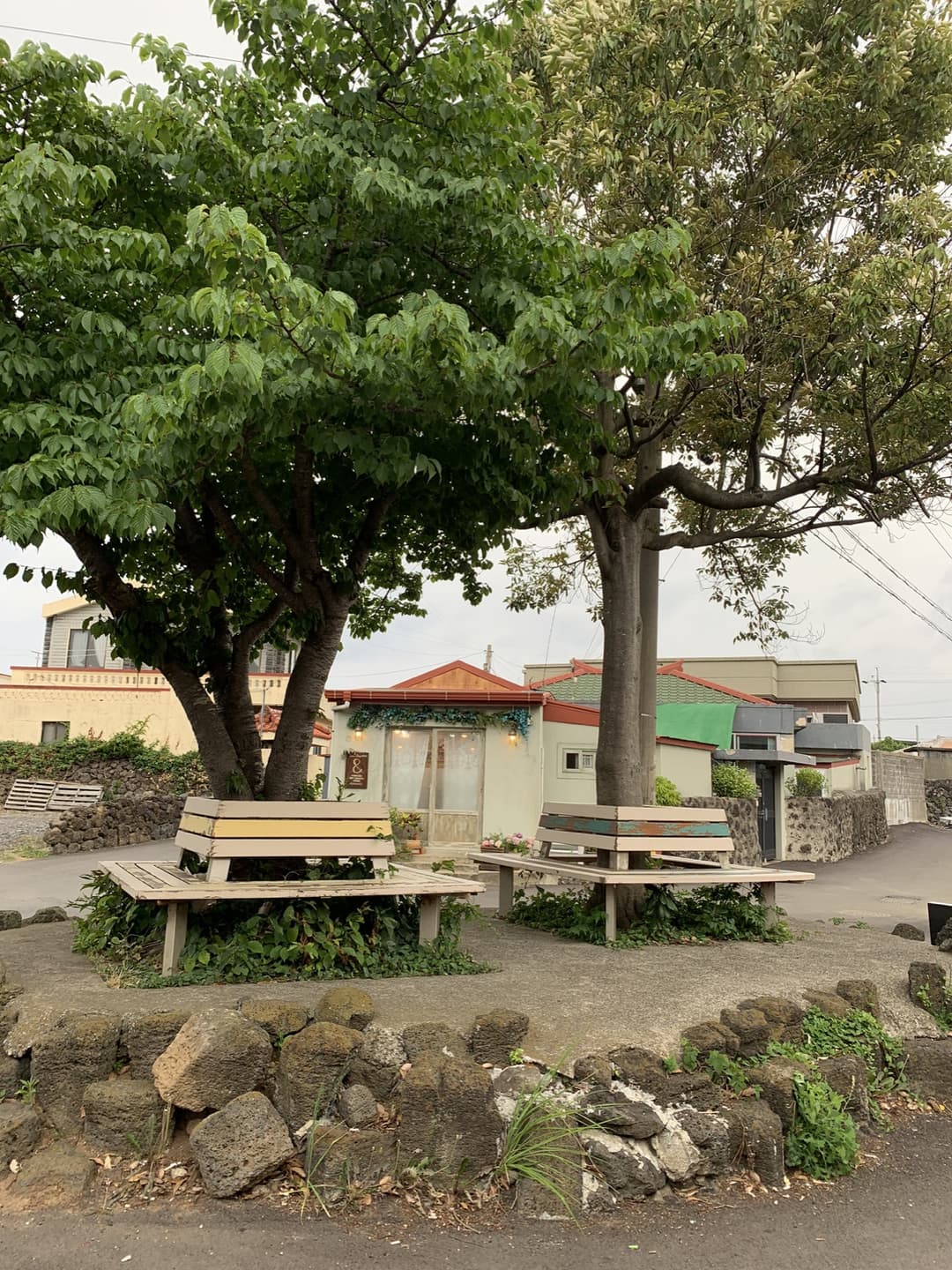 제주 조천, “무우수 커피 로스터스” 사진 2