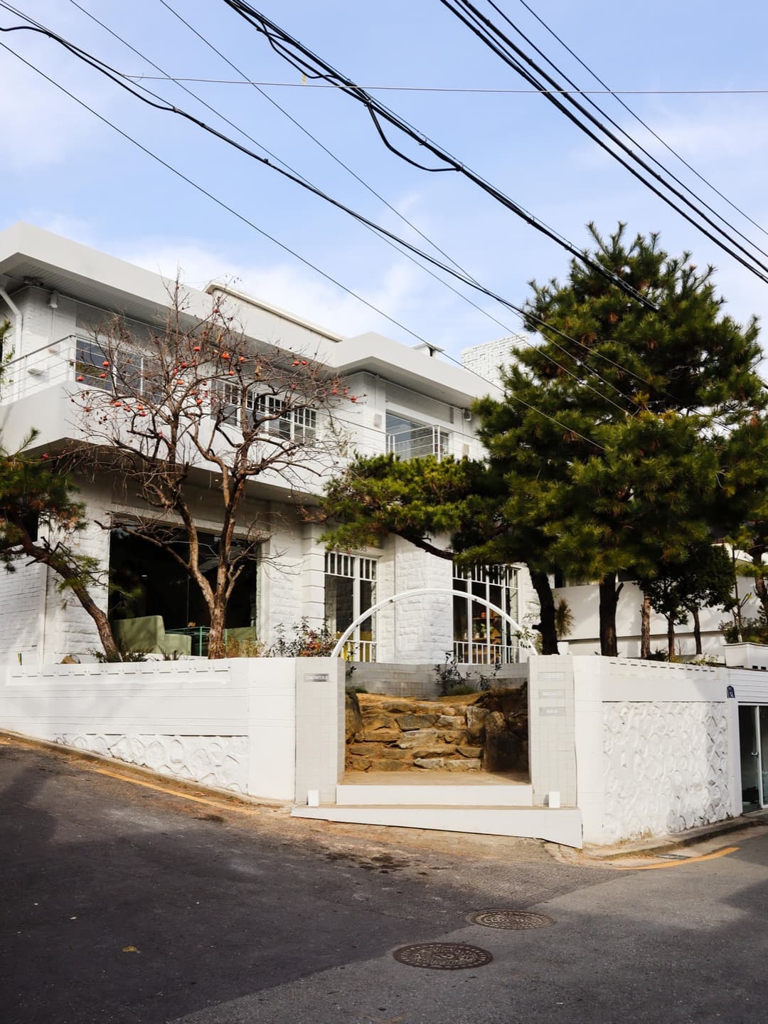 연희동, “그로어스” 사진 1