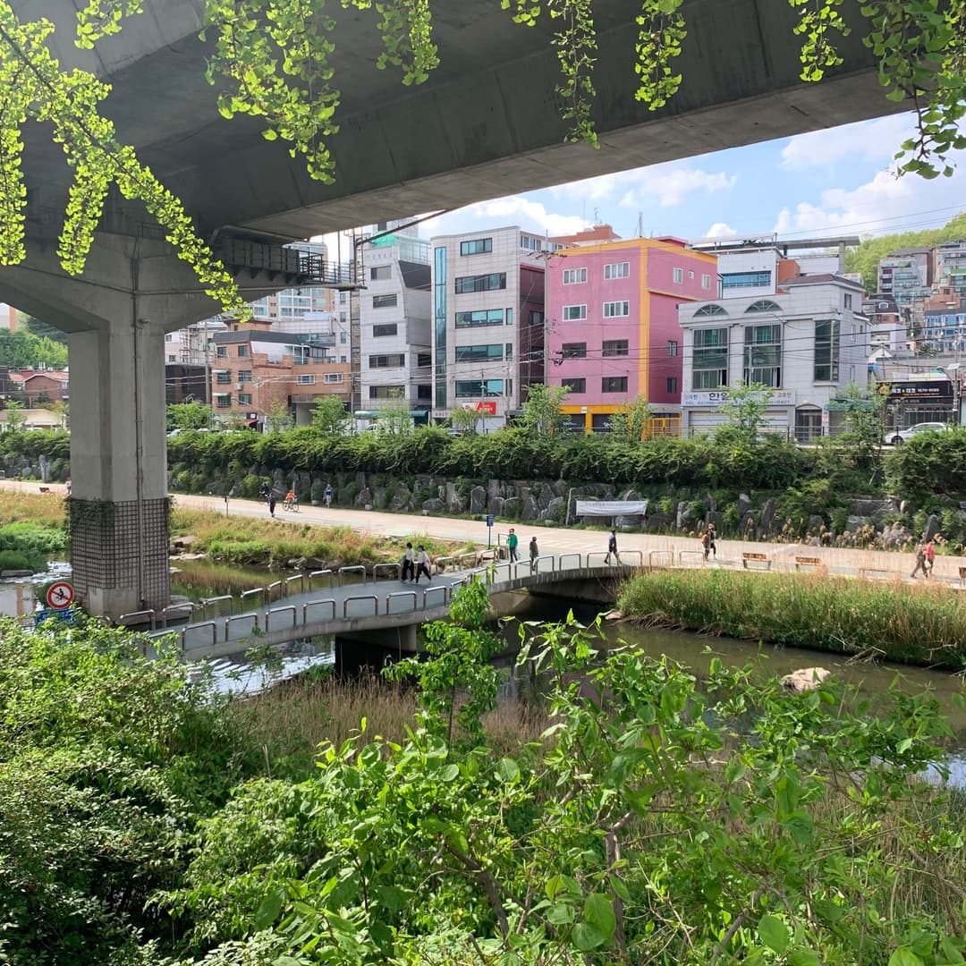 연희동, “뚤리” 사진 25
