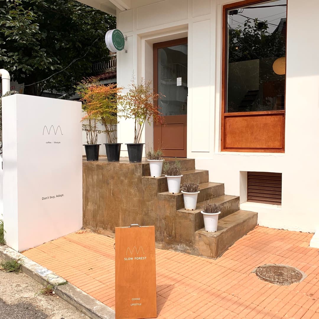 삼청동, 슬로우 포레스트 사진 1