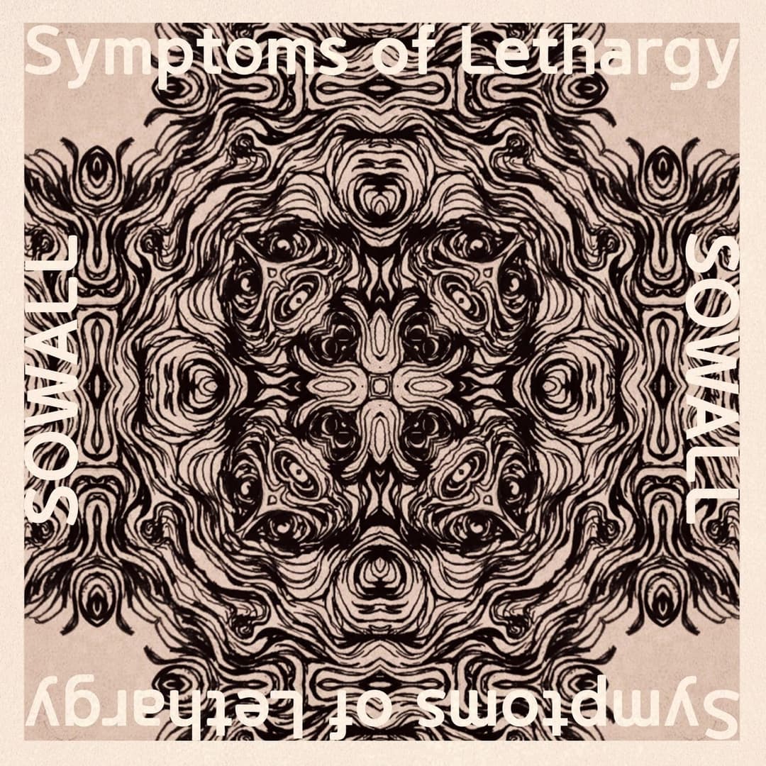SOWALL, “Symptoms Of Lethargy” 사진 4